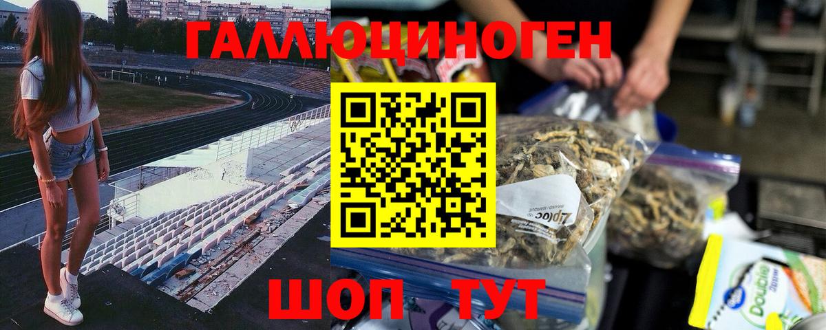 Астрахань  Галлюциногенные грибы Psilocybine cubensis  Вход с VPN 